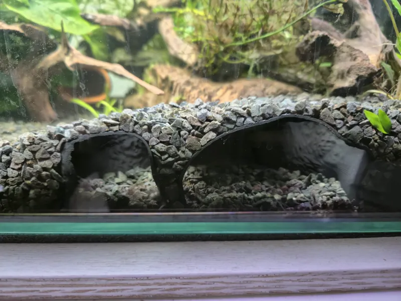 隧道洞穴埋入式鱼缸和宠物都可以用