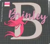 Brinley -- 0.2mm layer, 2 walls, 15% infill