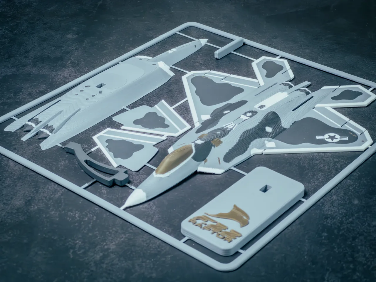 F-22 Raptor Plane Kit Card view 3
