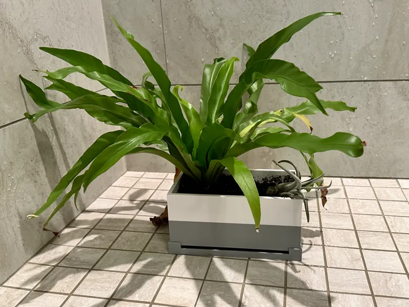 Flo~w pot (Public Domain)