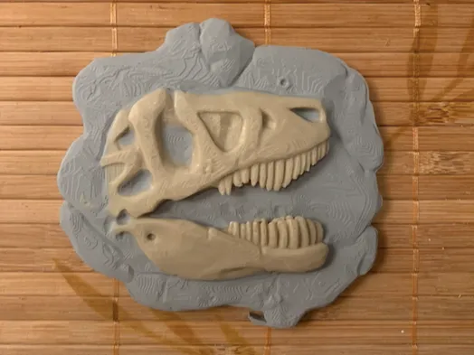 https://makerworld.bblmw.com/makerworld/model/USe2566b47e5eb8e/design/2025-04-22_fafc11c032bb8.png