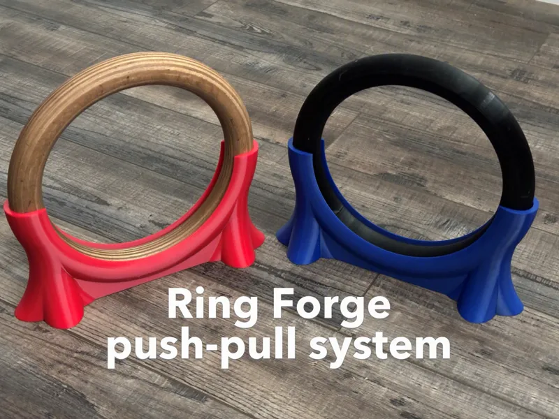 Ring Forge - push-pull calisthenics system