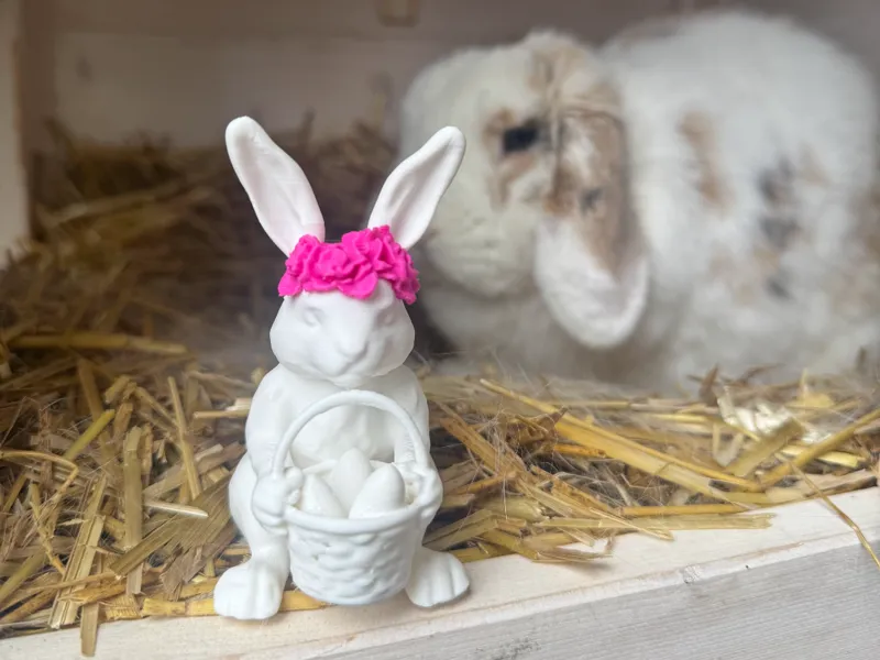 Easter Bunny with Eggs