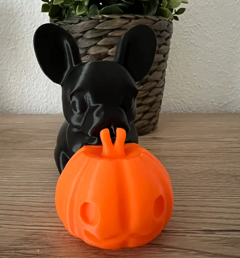 French bulldog with pumpkin decor