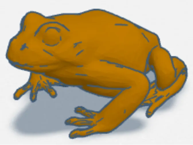 cool frog