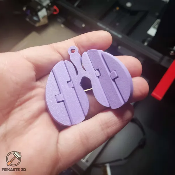 https://makerworld.bblmw.com/makerworld/model/USe2619112d9ca5a/design/2023-08-14_uw3ffzrupbl7.jpg