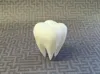 0.12mm layer, 2 walls, 15% infill