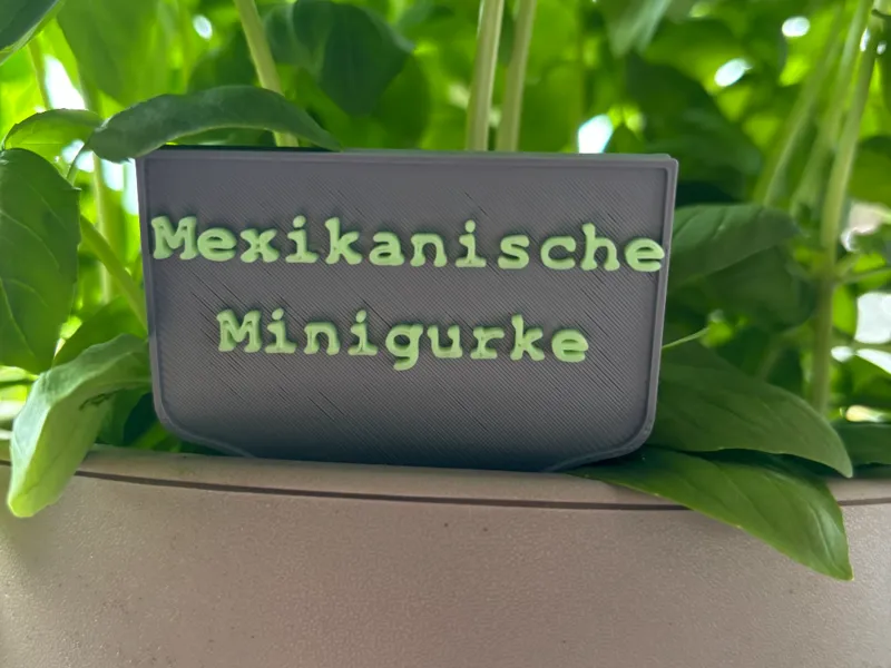Mexikanische Minigurke Schild 