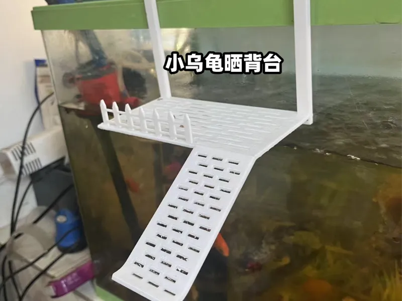 小乌龟晒背台