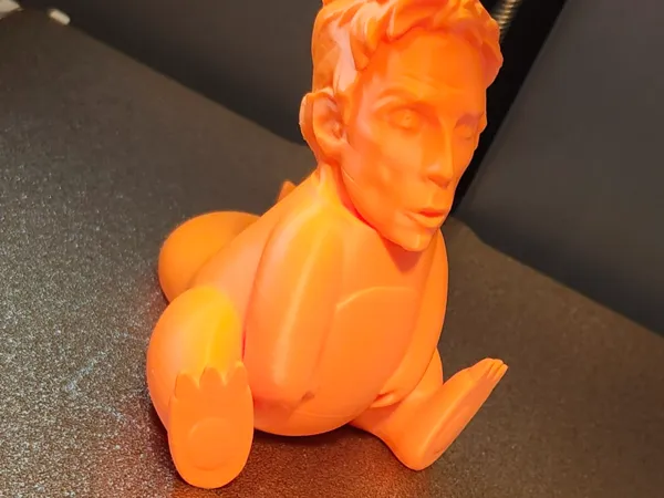 https://makerworld.bblmw.com/makerworld/model/USe277783aa5490d/design/2025-12-15_78781feabff538.jpg