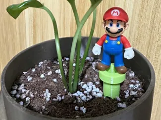 花盆通气管