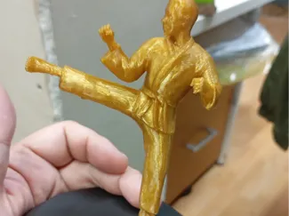 Karate trophy