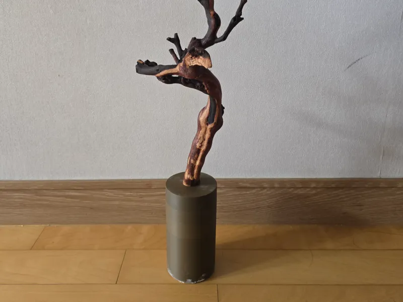vine driftwood base