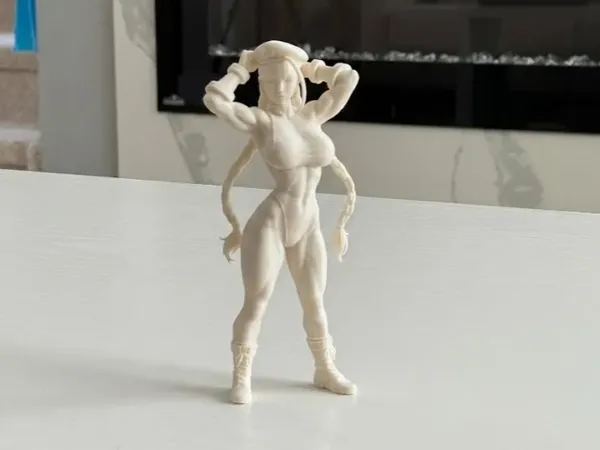 https://makerworld.bblmw.com/makerworld/model/USe28a549f728645/design/02ec1a4309927a8f.webp