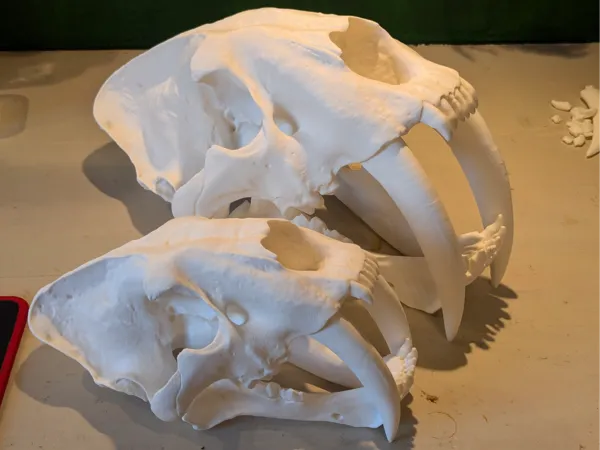 https://makerworld.bblmw.com/makerworld/model/USe28a9e92d89d5b/design/2024-12-02_0e23ae9e791c9.jpg