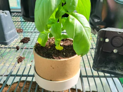 Spool tube planter base
