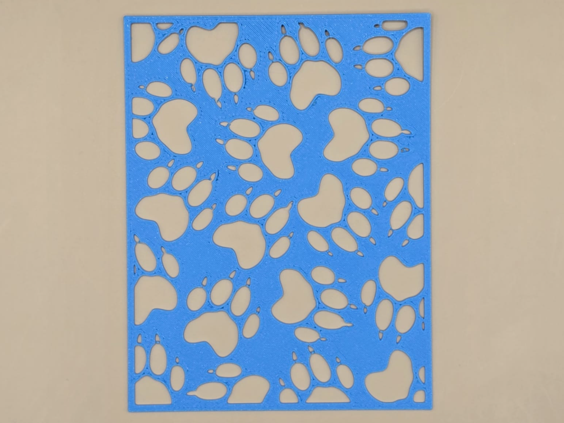Bear Paw Stencil Pattern Animal