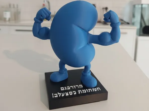 https://makerworld.bblmw.com/makerworld/model/USe29113c554b6c7/design/2025-08-30_4910222072364.jpeg