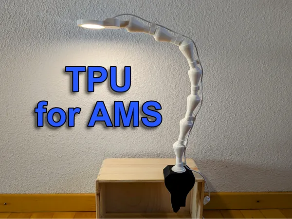 https://makerworld.bblmw.com/makerworld/model/USe2962489077d21/design/b4d5af9641cc7221.jpg