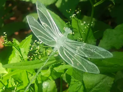 Dragonfly Bookmark/thin layer printing, supports PLA and PETG