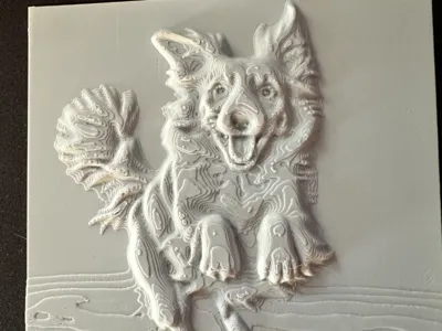 Border collie relief