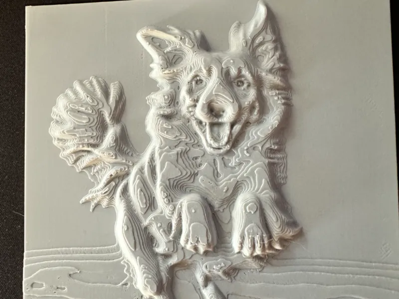 Border collie relief