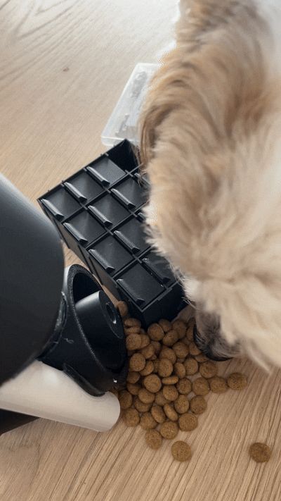 Pet treat/food dispenser with Nema17 Stepper motor