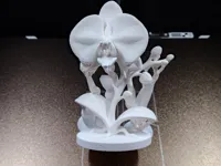 0.16mm layer, 3 walls, 8% infill, 13cm