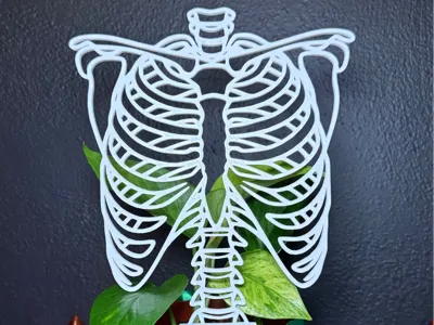 Skelly Plant Trellis