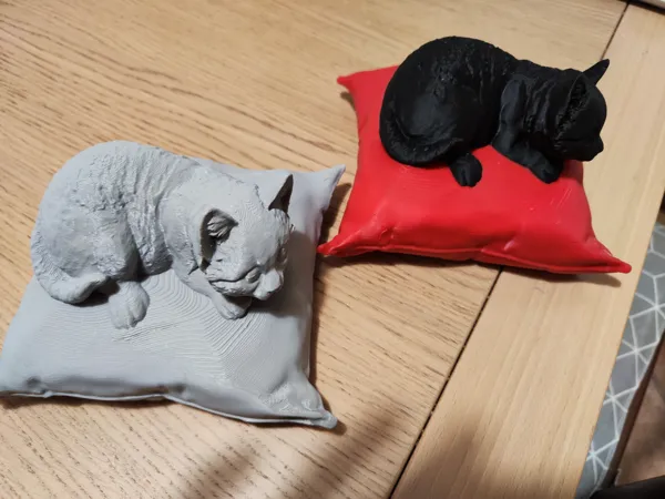https://makerworld.bblmw.com/makerworld/model/USe2a101f5a0ea44/design/2024-12-20_5dec98a38108c.jpg