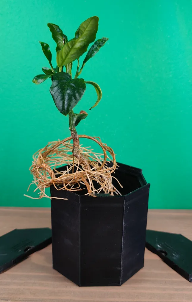 HydrOctagon Plant Pot set medium