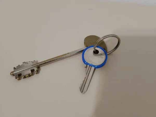 https://makerworld.bblmw.com/makerworld/model/USe2aa9f9f3ad5a7/design/0da59ac4bec8e574.png