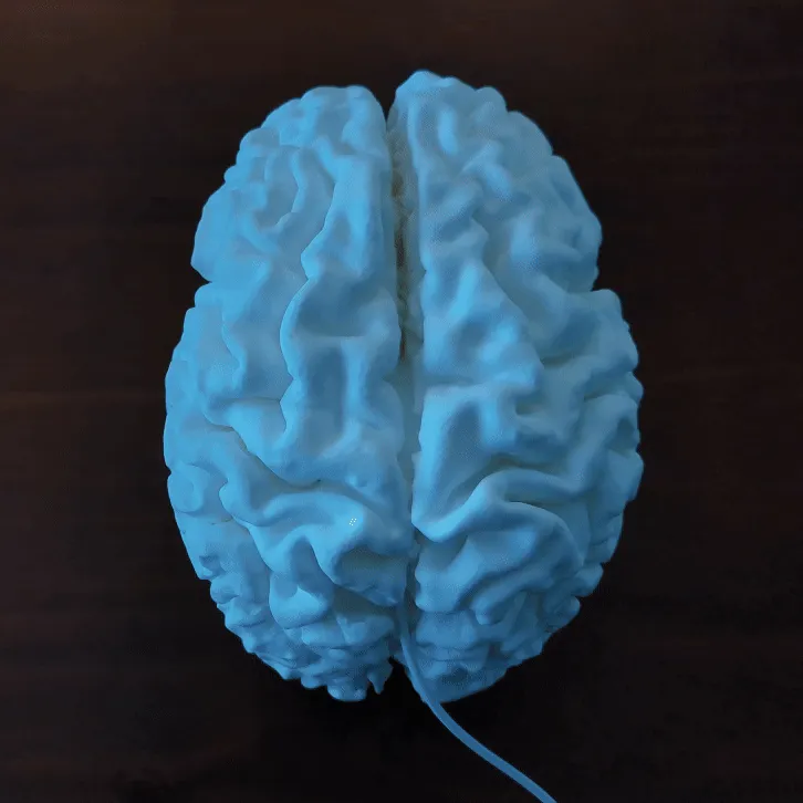 Brain Lamp - Accurate & Life-Size view 2