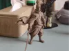 0.12mm layer, 2 walls, 15% infill