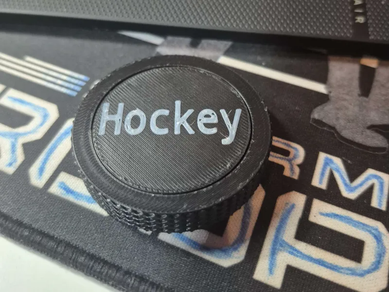 Hockey Puck Fidget