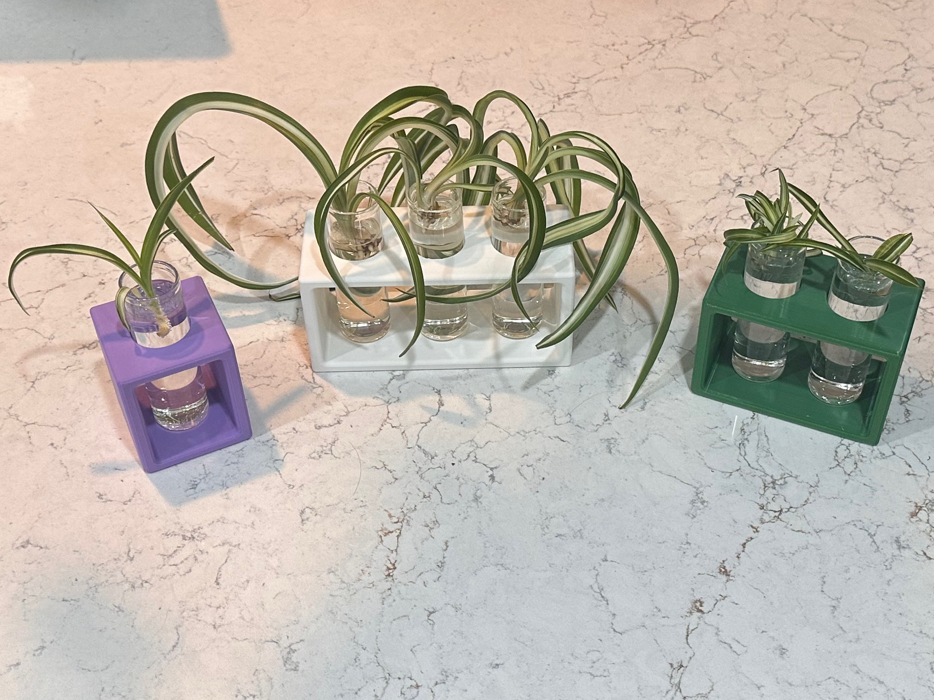 Plant Propagation Stand - 50ml (30mmx100mm)