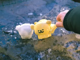 Maltese Xiantiao Xiaogou Snowball Maker