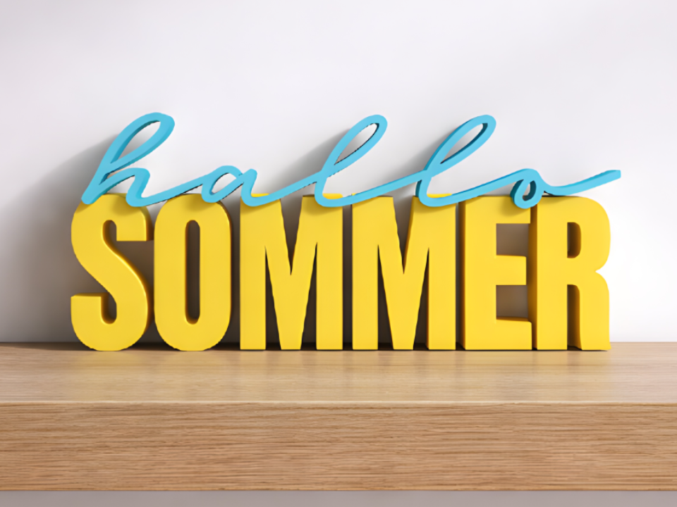 00153  Schriftzug hallo Sommer