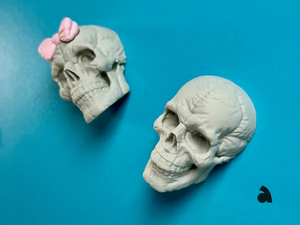 https://makerworld.bblmw.com/makerworld/model/USe2bcafbc519ab1/design/2025-07-27_d5b961a2867f68.jpg
