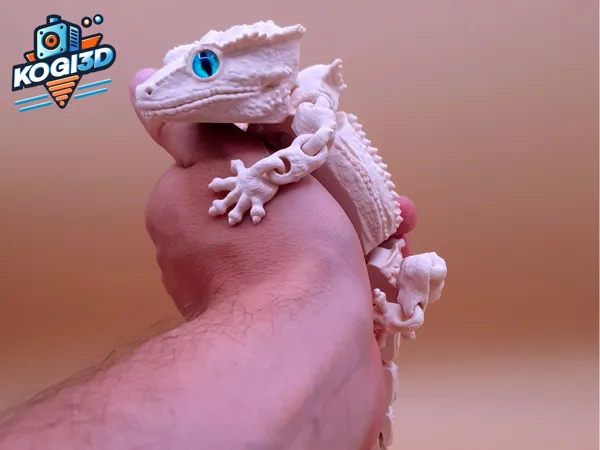 https://makerworld.bblmw.com/makerworld/model/USe2c1c8a27a1045/design/0e8c5764e485bc05.jpg