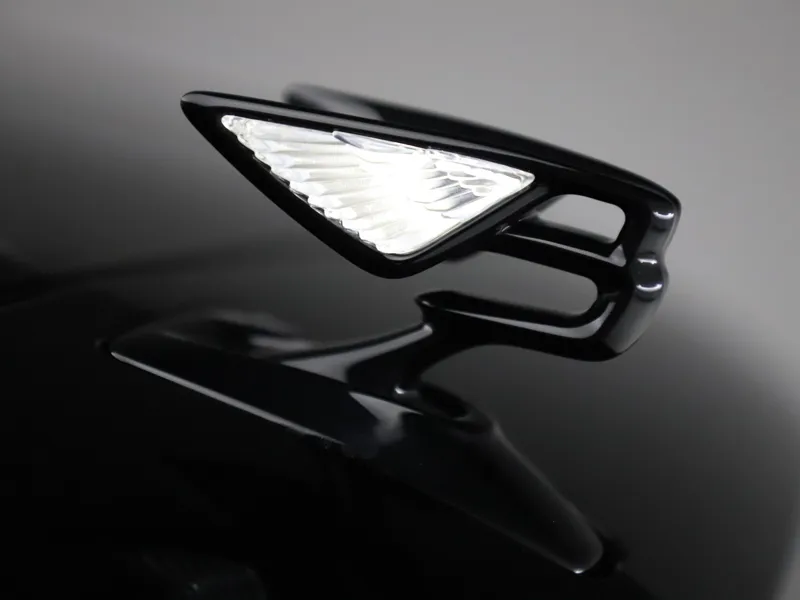 Bentley wings Hanger