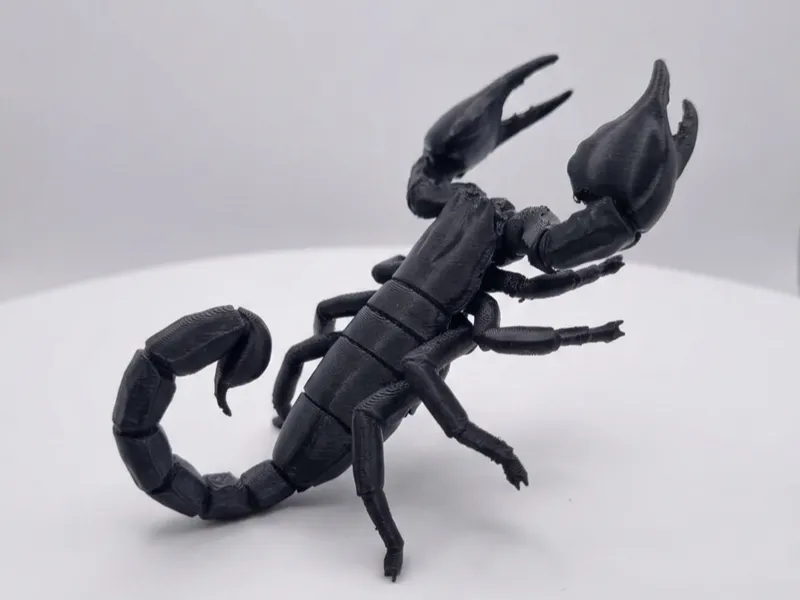 scorpion