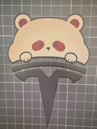 浣熊特斯拉