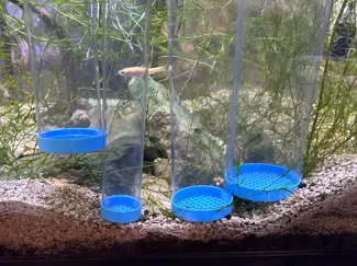 Aquarium Python Water Change Cap Strainer