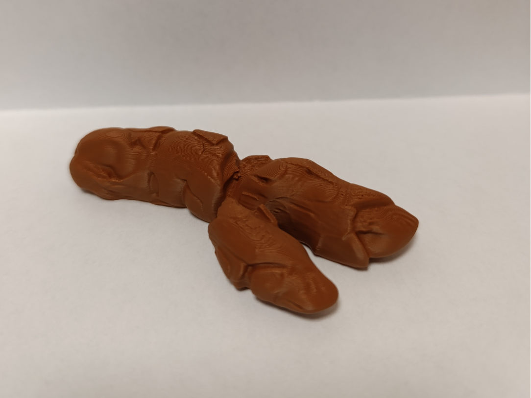 Prank Poop - Model Y