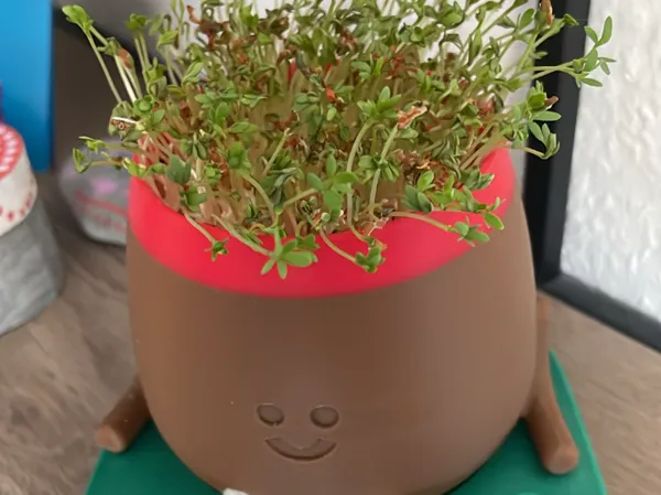 https://makerworld.bblmw.com/makerworld/model/USe2cf3cfc723be4/design/3a7e10aa69e570f5.jpg