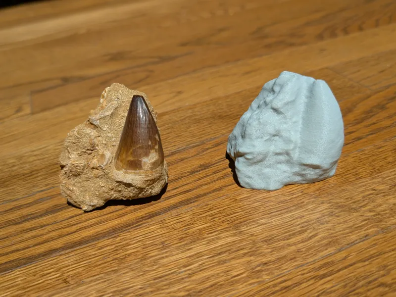 Prognathodon fossil tooth 3D Scan
