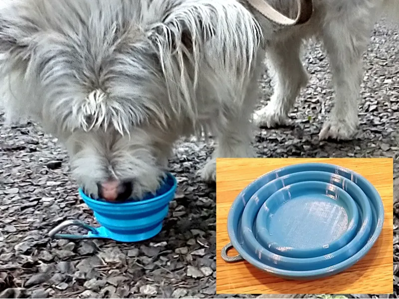Collapsible Water Bowl (TPU)