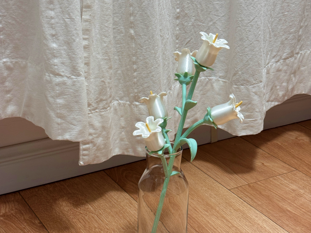 风铃草（不用AMS）