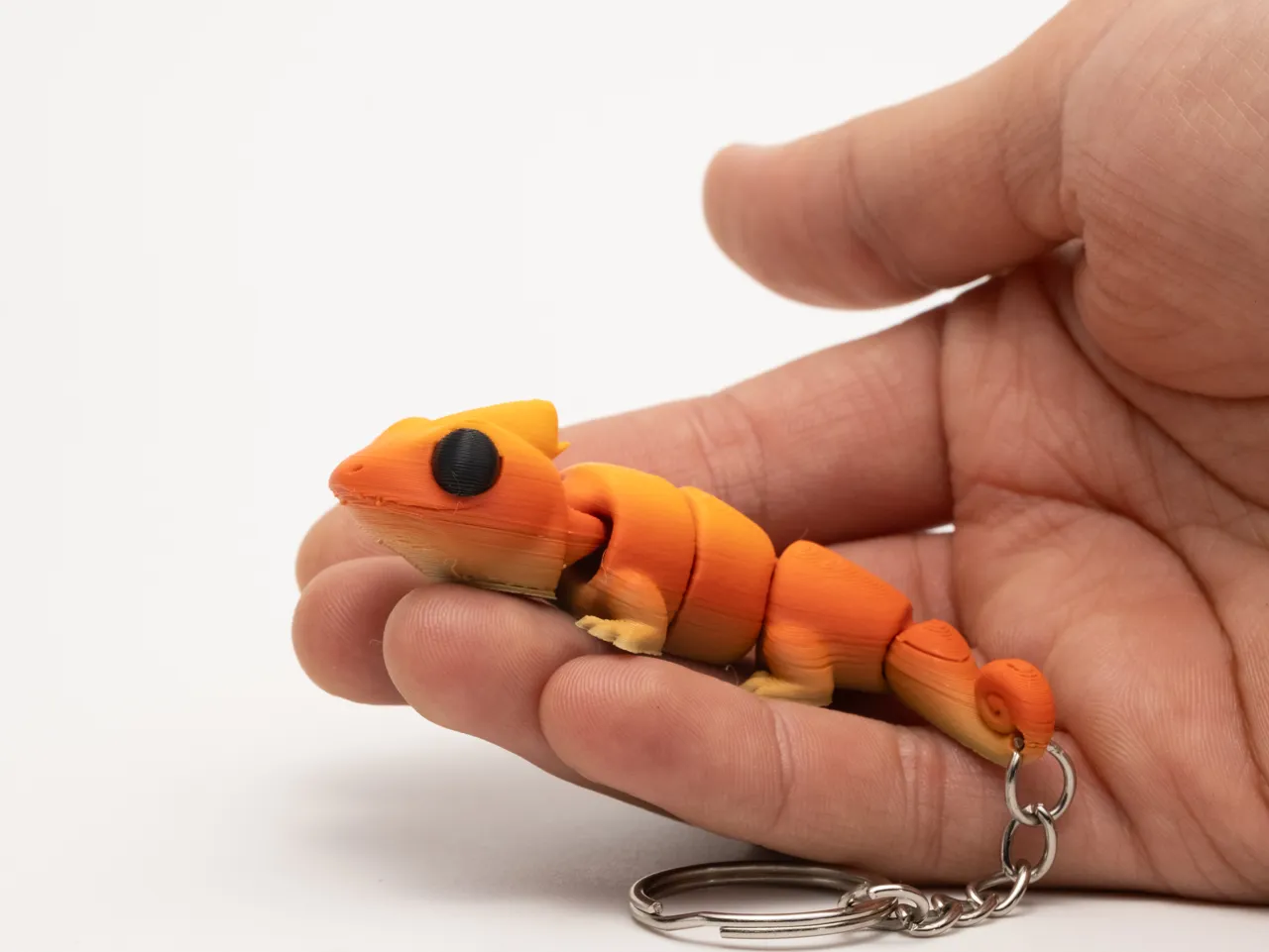 Flexi Chameleon view 3